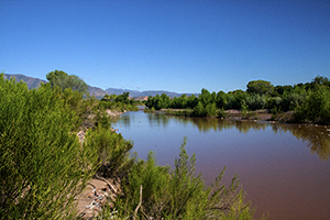 Tonto Creek